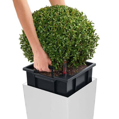 LECHUZA Planter Cubico 40 ALL-IN-ONE High-Gloss White 18191