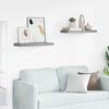 vidaXL Floating Wall Shelves 2 pcs Grey 60x23.5x3.8 cm MDF