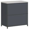 vidaXL Kitchen Storage with Shelf Anthracite 90 x 50 x 92 cm Steel