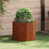 Product Thumbnail Image 2 of 11