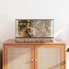 vidaXL Terrarium with Storage Transparent 50 x 30 x 30 cm Glass