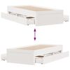 Product Thumbnail Image 10 of 13