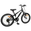 vidaXL Mountain Bike 24 Inches 6-Speed for 8-12 Years Old Black