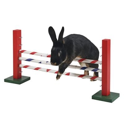 Kerbl Rodent Upright Jump/Agility Toy 70x5x35 cm