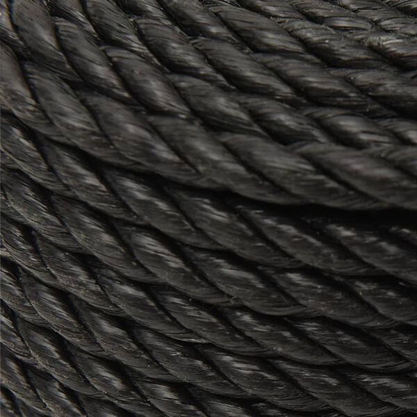 vidaXL Work Rope Black 20 mm 50 m Polypropylene