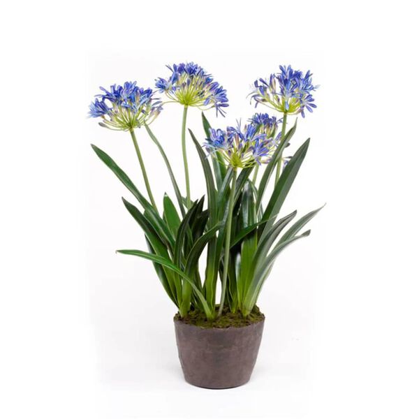 Emerald Artificial Agapanthus 75 cm Blue