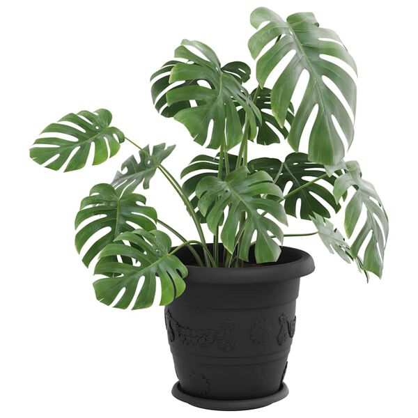 Showing Product Image 3 of 10