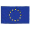 vidaXL Europe Flag and Pole 6.08 m Aluminium