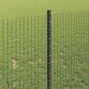 Product Thumbnail Image 4 of 14