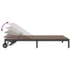 vidaXL Sunbed Reclining 1-person Brown 206 x 115 x 75 cm Poly Rattan