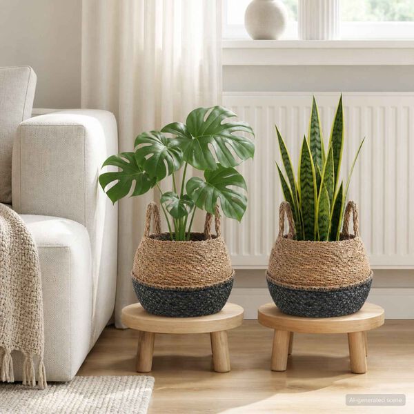 Showing Product Image 2 of 6