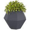 vidaXL Planter 2 pcs Anthracite 75 x 75 x 60 cm Steel