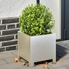 Product Thumbnail Image 2 of 12