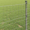 vidaXL Euro Fence Silver 0.6 x 50 m Hot dip galvanized iron