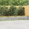 vidaXL Arched Gabion Raised Bed 800x50x50 cm Galvanised Iron