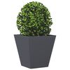 Product Thumbnail Image 4 of 12