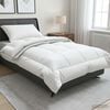 Product Thumbnail Image 2 of 10