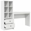 vidaXL Desk with Drawer 2 pcs White