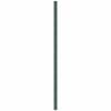 vidaXL Weed Membrane Green 4x5 m PP
