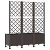 Product Thumbnail Image 5 of 7