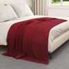 vidaXL Throw Blanket Bordeaux Red 200 x 150 cm Fleece
