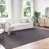 vidaXL Area Rugs Rectangular Anthracite 340 x 240 cm