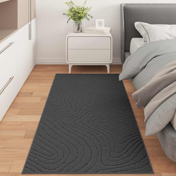 vidaXL Area Rugs Rectangular Anthracite 150 x 80 cm