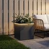 Product Thumbnail Image 2 of 12