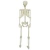 vidaXL Halloween Skeleton White 155 x 38.5 cm Polypropylene