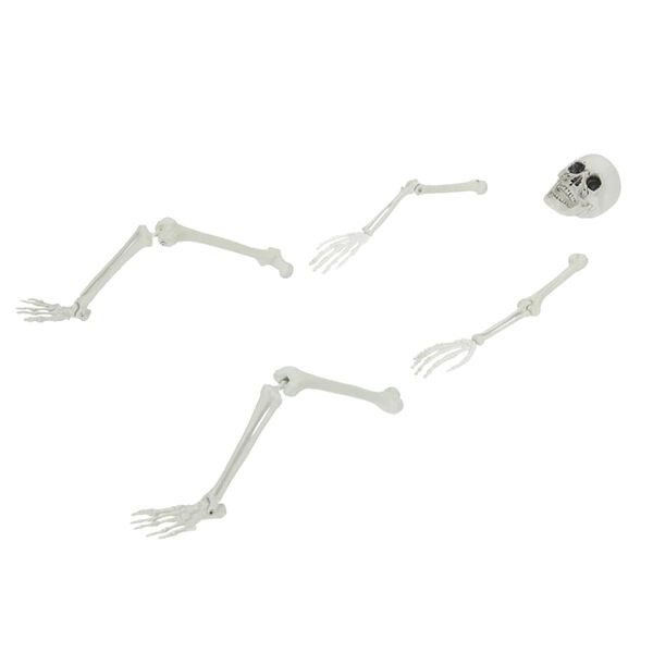 vidaXL Halloween Skeleton White 20 x 10 x 9.5 cm Plastic