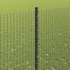 Product Thumbnail Image 4 of 14