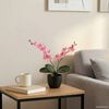 Product Thumbnail Image 2 of 5