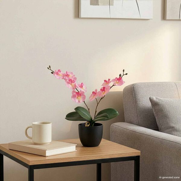 Showing Product Image 2 of 5