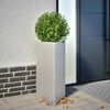 Product Thumbnail Image 2 of 12