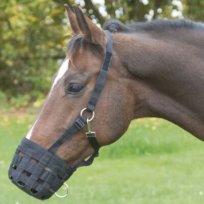 Covalliero Horse Muzzle Pony Black