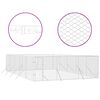 vidaXL Outdoor Dog Kennel Silver 6x10x2 m Galvanised Steel