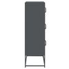 vidaXL Highboard Anthracite 68x39x123 cm Steel