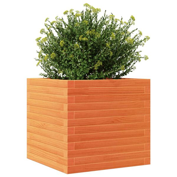 vidaXL Garden Planter Wax Brown 50x50x46 cm Solid Wood Pine