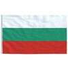 vidaXL Bulgaria Flag and Pole 5.55 m Aluminium