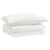 vidaXL 90% Goose Down Duvet Set FULDA 2 pcs 152 x 203 cm Summer White
