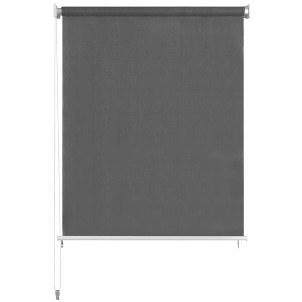 vidaXL Outdoor Roller Blind 220x140 cm Anthracite