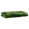Product Thumbnail Image 2 of 6