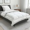 Product Thumbnail Image 2 of 12