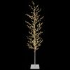 Product Thumbnail Image 2 of 5