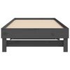 vidaXL Pull-out Day Bed without Mattress Grey 2x(100x200) cm