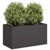 Product Thumbnail Image 2 of 9