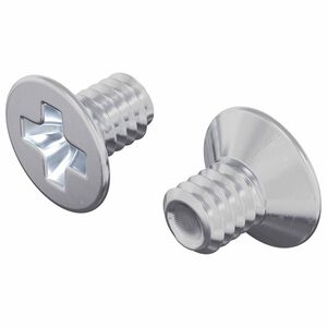 vidaXL Countersunk Head Screws 2 pcs Silver M4 x 6 mm Steel