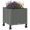 Product Thumbnail Image 3 of 8