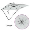 Product Thumbnail Image 12 of 16
