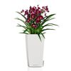 LECHUZA Planter Cubico 22 ALL-IN-ONE High-gloss White
